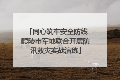 同心筑牢安全防线 醴陵市军地联合开展防汛救灾实战演练