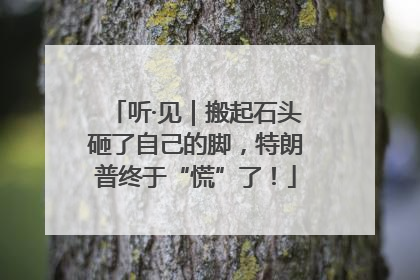 听·见｜搬起石头砸了自己的脚，特朗普终于“慌”了！