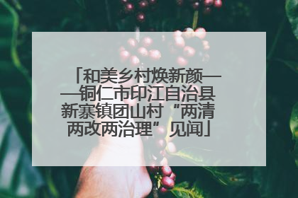 和美乡村焕新颜——铜仁市印江自治县新寨镇团山村“两清两改两治理”见闻