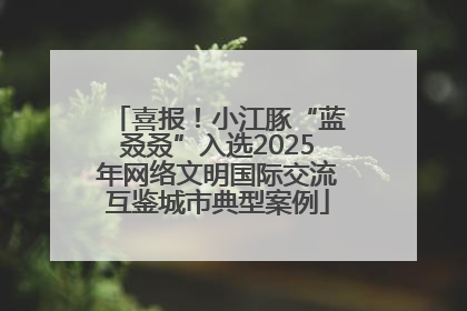 喜报！小江豚“蓝叒叒”入选2025年网络文明国际交流互鉴城市典型案例