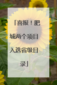 喜报！肥城两个项目入选省级目录