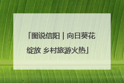 图说信阳｜向日葵花绽放 乡村旅游火热