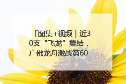 图集+视频｜近30支“飞龙”集结，广佛龙舟激战第60届荔湾“沙溪景”