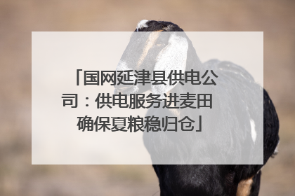 国网延津县供电公司：供电服务进麦田 确保夏粮稳归仓