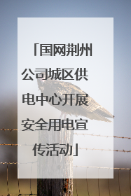 国网荆州公司城区供电中心开展安全用电宣传活动