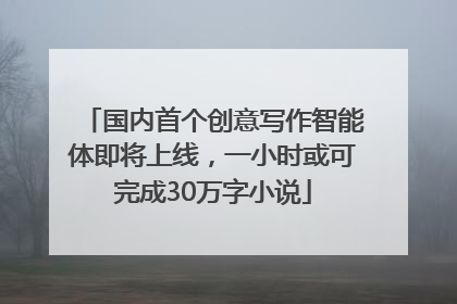 国内首个创意写作智能体即将上线，一小时或可完成30万字小说