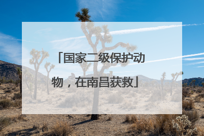 国家二级保护动物，在南昌获救