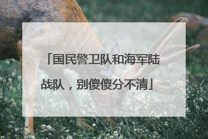 国民警卫队和海军陆战队，别傻傻分不清