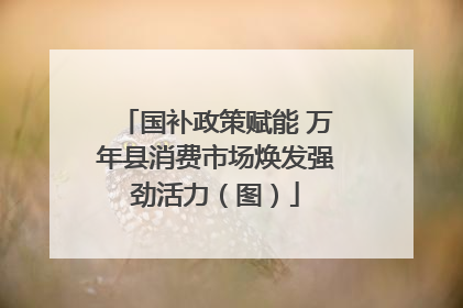 国补政策赋能 万年县消费市场焕发强劲活力（图）