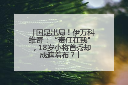 国足出局！伊万科维奇：“责任在我”，18岁小将首秀却成遮羞布？