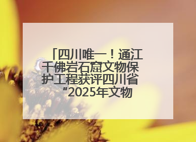 四川唯一！通江千佛岩石窟文物保护工程获评四川省“2025年文物保护优质工程”