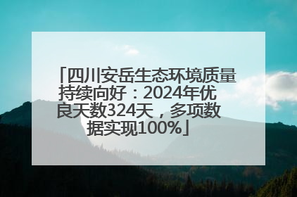 四川安岳生态环境质量持续向好：2024年优良天数324天，多项数据实现100%