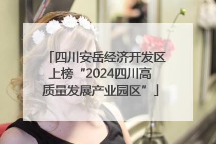 四川安岳经济开发区上榜“2024四川高质量发展产业园区”