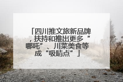 四川推文旅新品牌，扶持和推出更多“哪吒”、川菜美食等成“吸睛点”