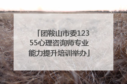 团鞍山市委12355心理咨询师专业能力提升培训举办