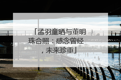 孟羽童晒与董明珠合照：感念曾经，未来珍重