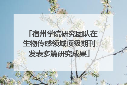 宿州学院研究团队在生物传感领域顶级期刊发表多篇研究成果