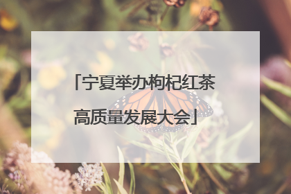 宁夏举办枸杞红茶高质量发展大会