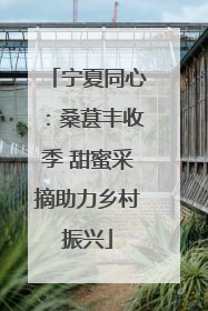 宁夏同心：桑葚丰收季 甜蜜采摘助力乡村振兴