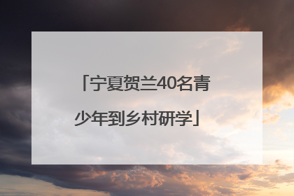 宁夏贺兰40名青少年到乡村研学