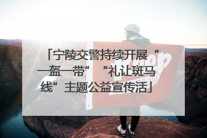 宁陵交警持续开展“一盔一带”“礼让斑马线”主题公益宣传活