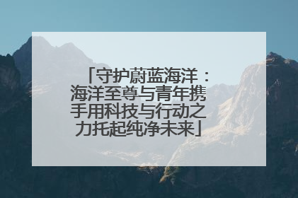 守护蔚蓝海洋：海洋至尊与青年携手用科技与行动之力托起纯净未来