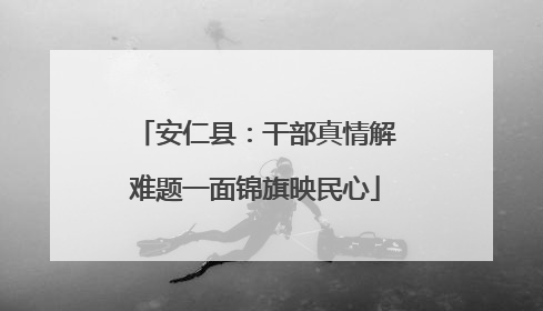 安仁县：干部真情解难题一面锦旗映民心