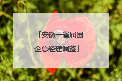 安徽一省属国企总经理调整