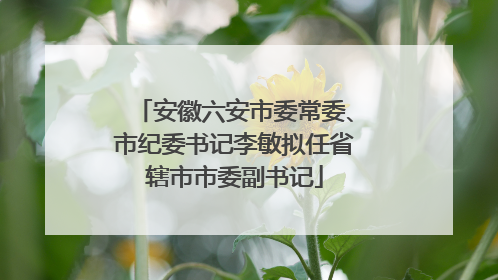 安徽六安市委常委、市纪委书记李敏拟任省辖市市委副书记