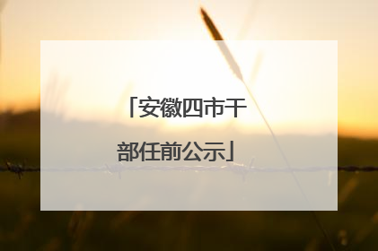 安徽四市干部任前公示
