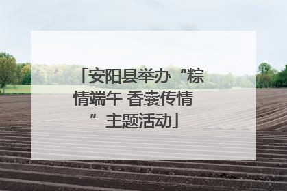 安阳县举办“粽情端午 香囊传情”主题活动