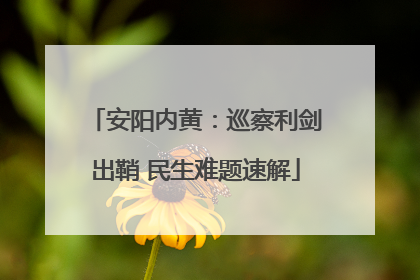 安阳内黄：巡察利剑出鞘 民生难题速解