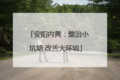 安阳内黄：整治小坑塘 改善大环境