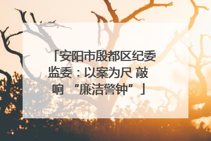 安阳市殷都区纪委监委：以案为尺 敲响 “廉洁警钟”