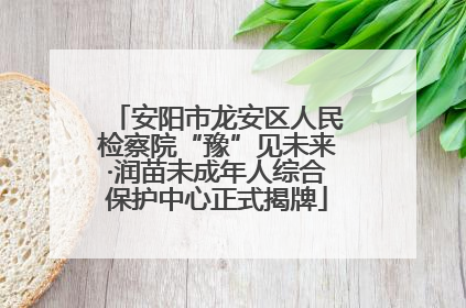 安阳市龙安区人民检察院“豫”见未来·润苗未成年人综合保护中心正式揭牌