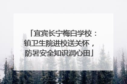 宜宾长宁梅白学校：镇卫生院进校送关怀，防暑安全知识润心田