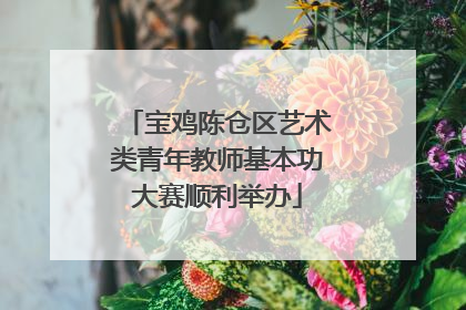 宝鸡陈仓区艺术类青年教师基本功大赛顺利举办