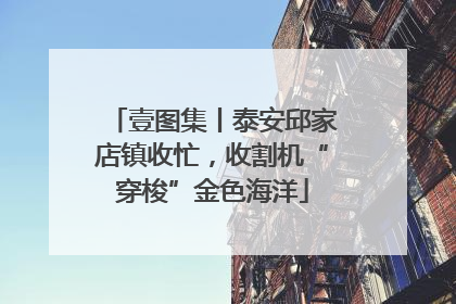 壹图集丨泰安邱家店镇收忙，收割机“穿梭”金色海洋