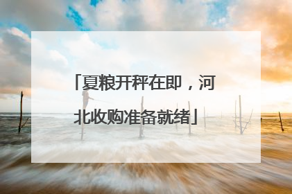 夏粮开秤在即，河北收购准备就绪