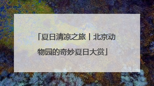 夏日清凉之旅丨北京动物园的奇妙夏日大赏
