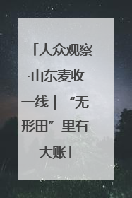 大众观察·山东麦收一线｜“无形田”里有大账
