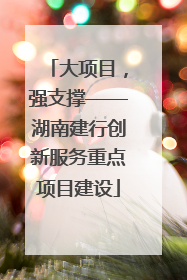 大项目，强支撑——湖南建行创新服务重点项目建设