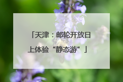 天津：邮轮开放日上体验“静态游”