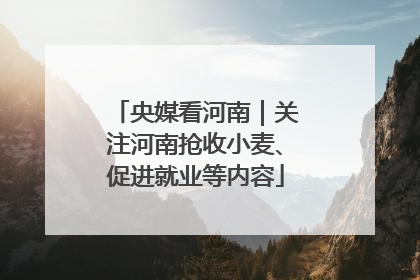央媒看河南｜关注河南抢收小麦、促进就业等内容