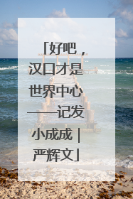 好吧，汉口才是世界中心——记发小成成｜严辉文
