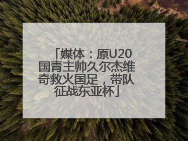 媒体：原U20国青主帅久尔杰维奇救火国足，带队征战东亚杯