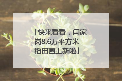 快来看看，闫家岗8.6万平方米稻田画上新啦