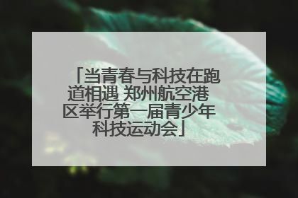 当青春与科技在跑道相遇 郑州航空港区举行第一届青少年科技运动会