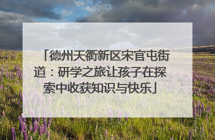 德州天衢新区宋官屯街道：研学之旅让孩子在探索中收获知识与快乐