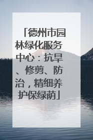 德州市园林绿化服务中心：抗旱、修剪、防治，精细养护保绿荫